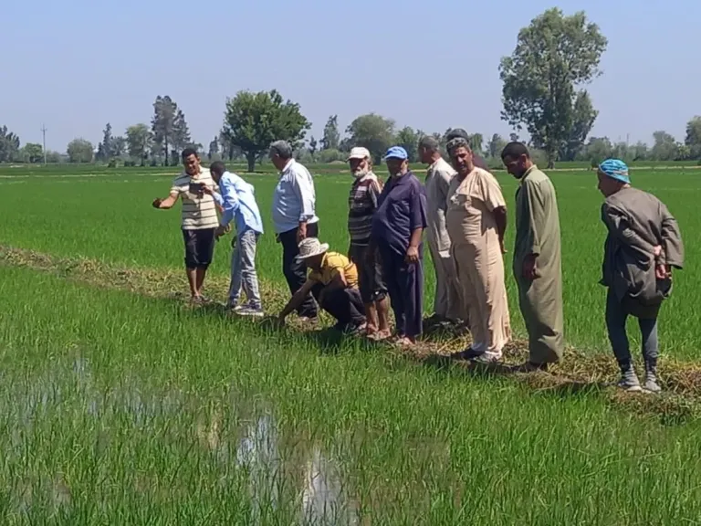 تعرف على فوائد الحقول الإرشادية