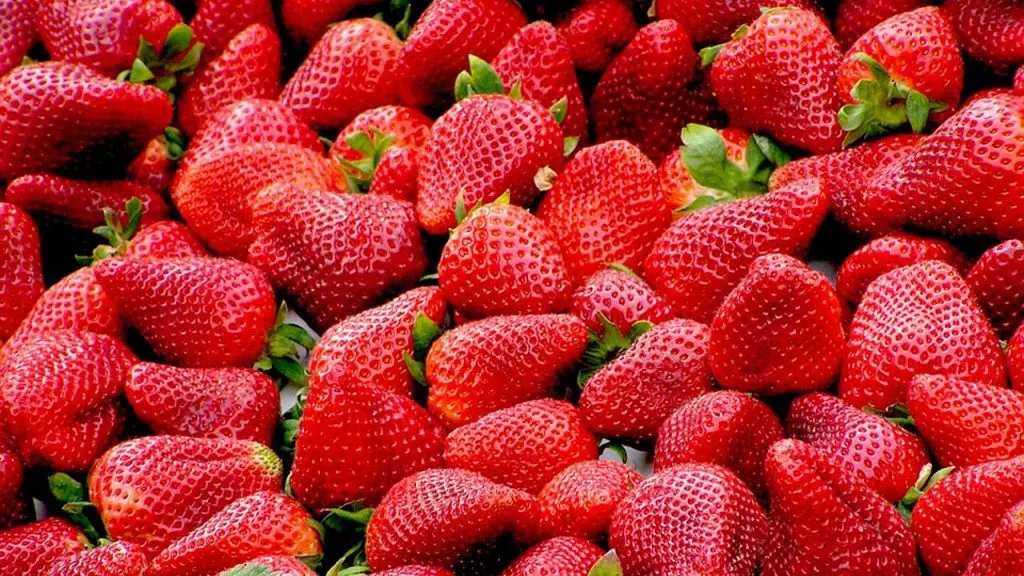 الفراولة المجمدة المصرية توسع حضورها في السوق التركية بوتيرة قياسية