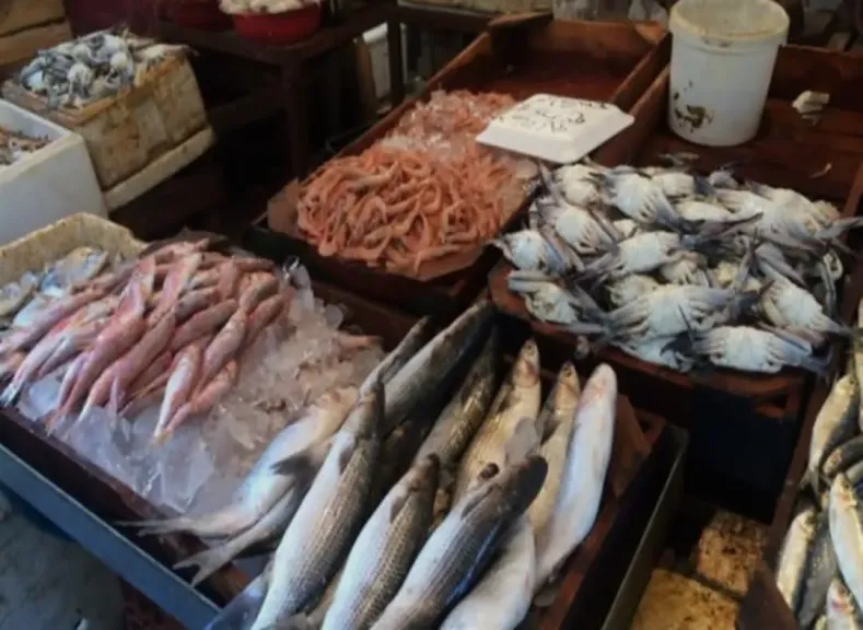 شعبة الأسماك توضح اسباب تراجع الأسعار في سوق العبور