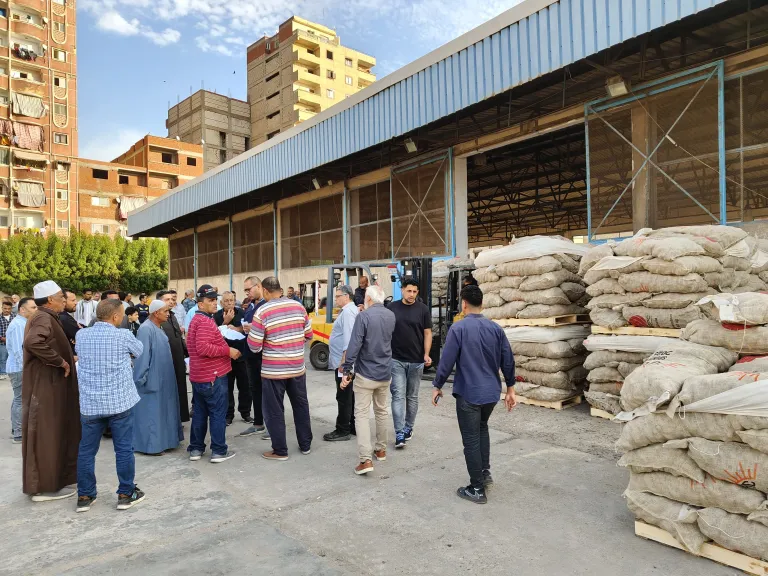 بأولوية الحجز.. الاتحاد العام للحاصلات البستانية يبدأ تسليم تقاوي البطاطس للمزارعين