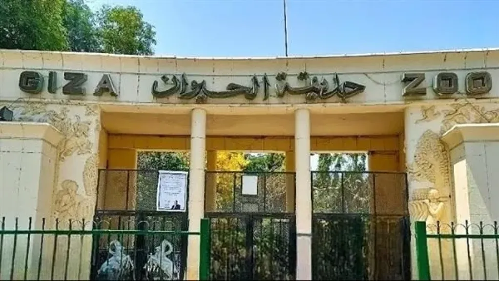 موعد افتتاح حديقة الحيوان بالجيزة بعد التطوير وربطها بـ«الأورمان»