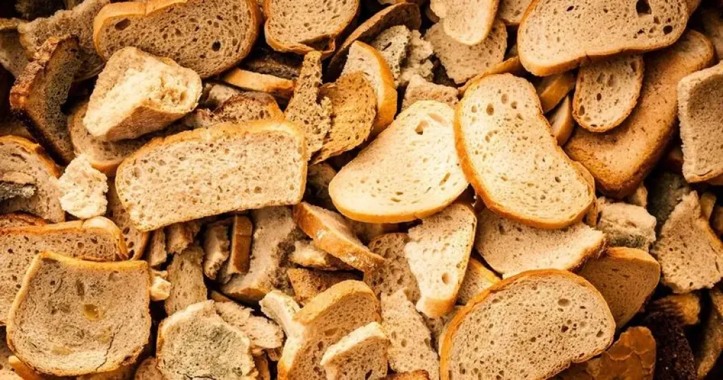 تحويل فائض الخبز إلى علف مستدام في الإمارات