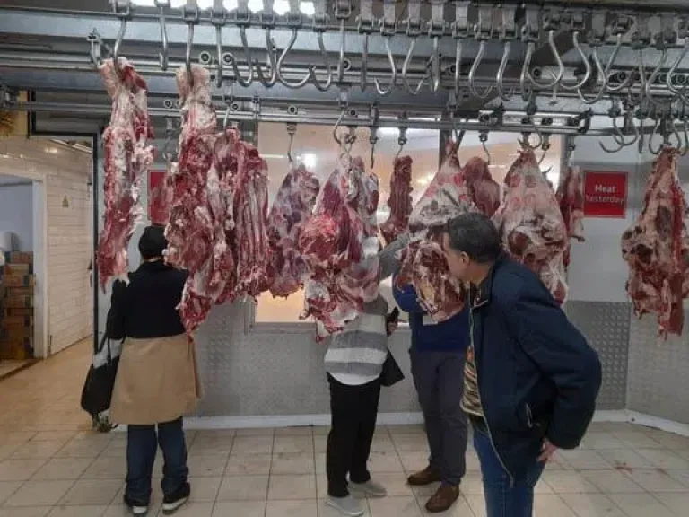 الحملات البيطرية