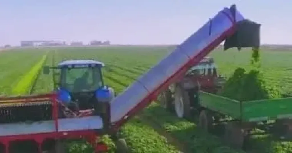 تهديدات خطيرة للأمن الغذائي.. والزراعة تقدم حل جريء