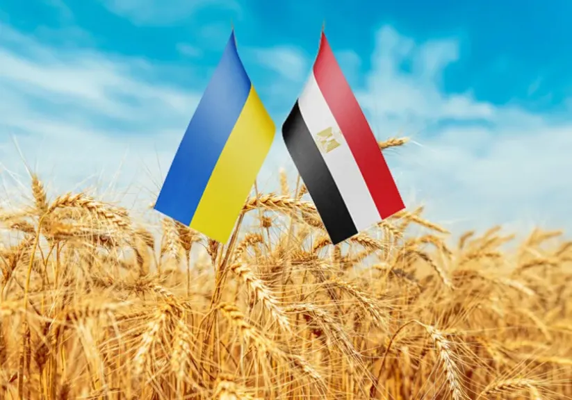 مصر أكبر مستورد للقمح الأوكراني.. تعرف على التفاصيل