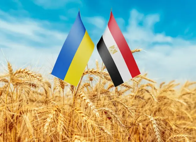 مصر أكبر مستورد للقمح الأوكراني.. تعرف على التفاصيل