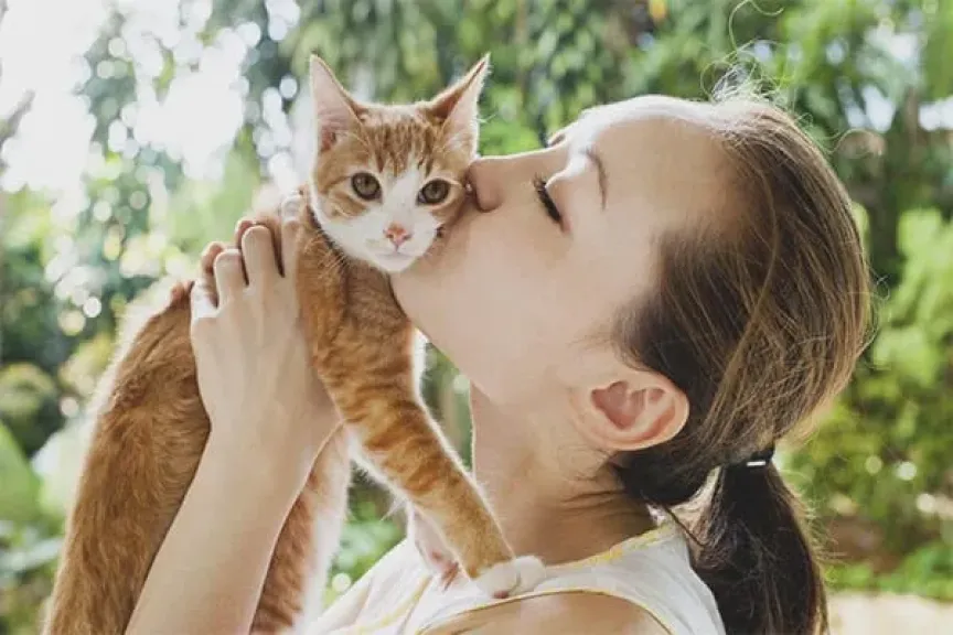 خبير بيطري: الخوف من القطط على الحوامل لا أساس علمي له