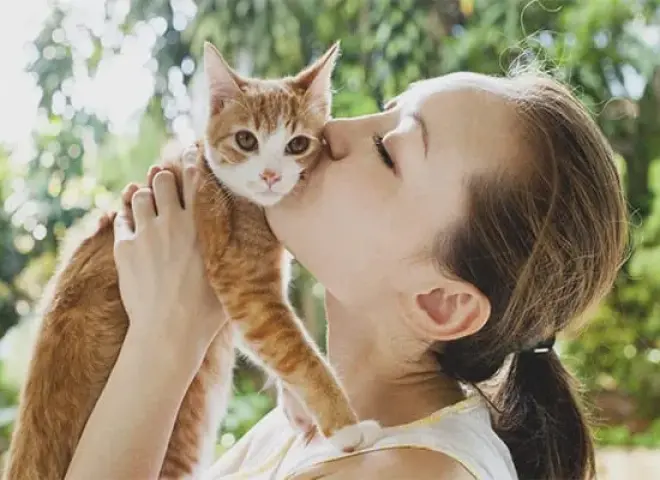 خبير بيطري: الخوف من القطط على الحوامل لا أساس علمي له