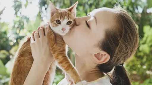 خبير بيطري: الخوف من القطط على الحوامل لا أساس علمي له