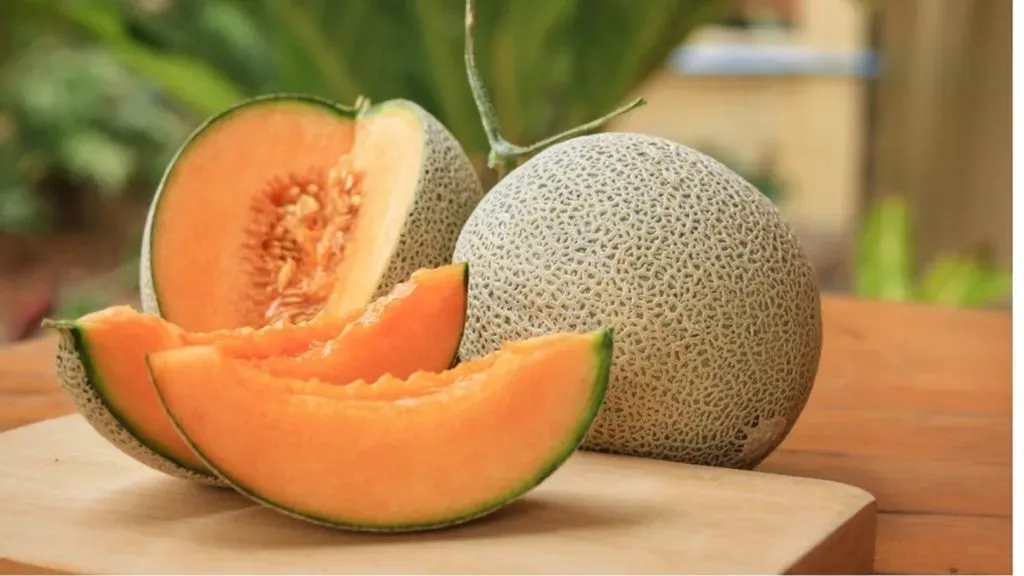 أسباب ارتفاع سعر شمام اليوباري وكيفية شرائه بذكاء