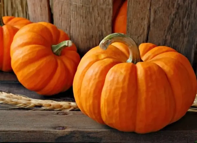 صادرات قرع العسل المصرية تقفز بقوة نحو السوق الايطالية للعام الثالث