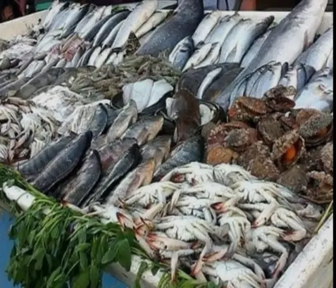 سوق العبور يعاود ضبط أسعار الأسماك
