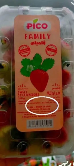 الفراولة المصرية تُخفض الأسعار في أوروبا.. وفرصة للتصدير والتصنيع المحلي