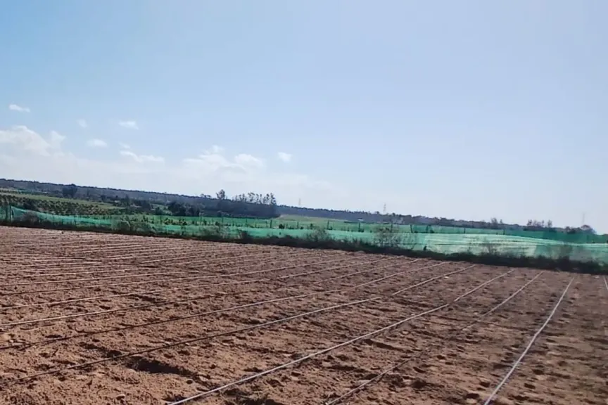 تحلية مياه البحر تصبح ضرورة استراتيجية في المغرب وسط استمرار الجفاف