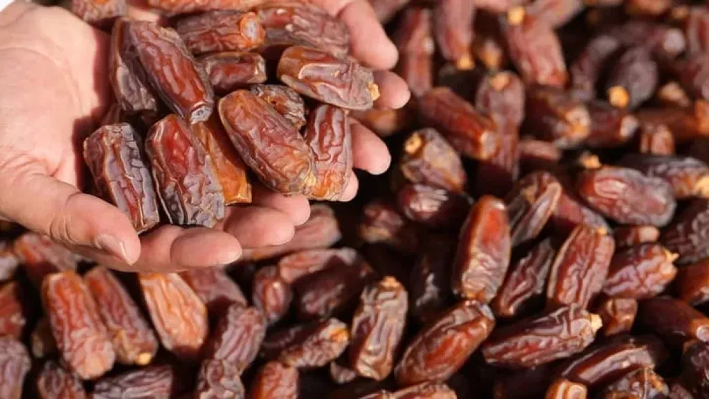 تمور فريحي المصرية تسيطر على الأسواق العالمية