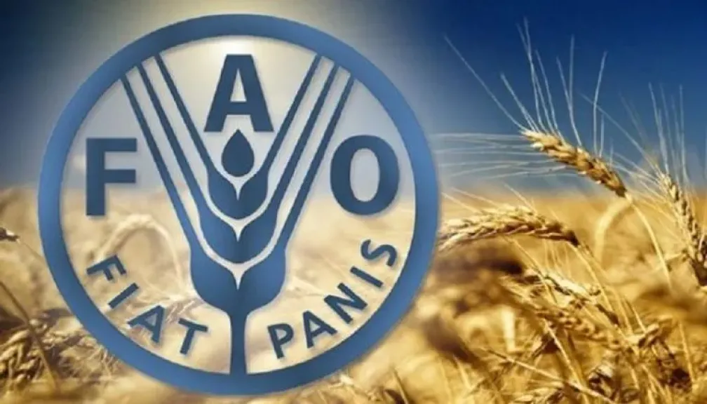 الفاو تؤكد دعمها لجهود تحقيق الأمن الغذائي ضمن رؤية مصر 2030