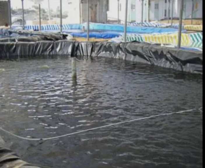 الشتاء يهدد إنتاج الأسماك.. طرق حماية المزارع من انخفاض الحرارة والأمطار