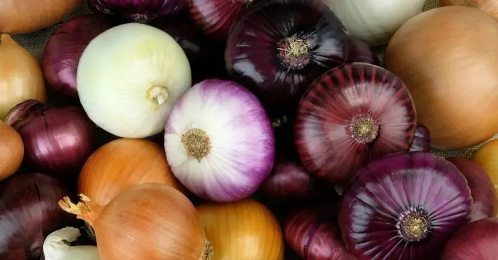 مصر تعزز صادرات المنتجات الطازجة بدعم من ارتفاع الطلب العالمي