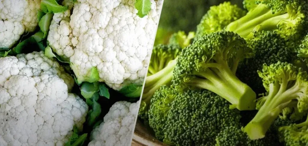 صادرات مصر من القرنبيط والبروكلي تقفز في سوق المملكة المتحدة