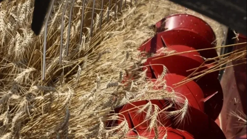 روسيا تسعى لتصنيف NCH Capital كمنظمة متطرفة بسبب نزاع حول بيع أصول زراعية