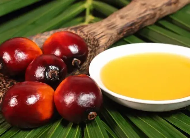 زيت النخيل الماليزي يسجل أعلى مخزون بسبب ضعف الصادرات