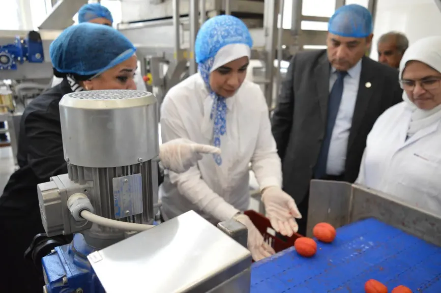 تشغيل خط إنتاج  طماطم كاملة مقشرة بكلية الزراعة جامعة الإسكندرية