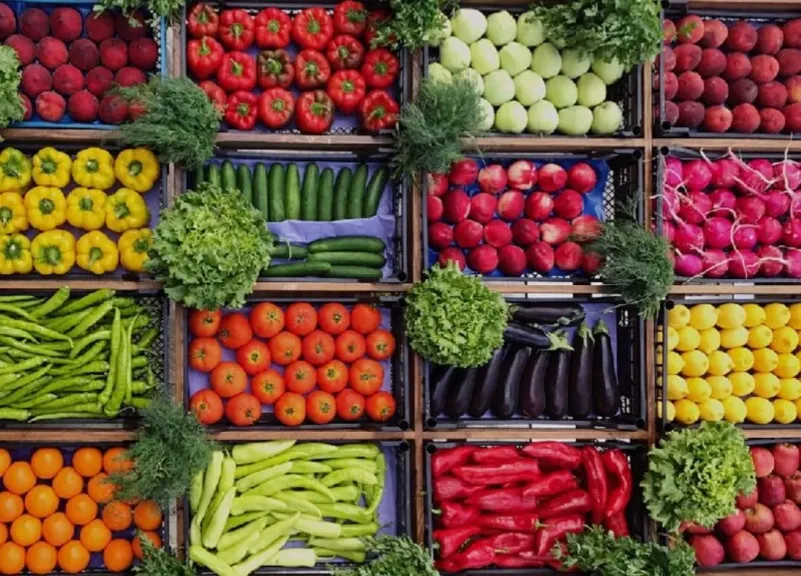 البرد لا يهدد المعروض.. الخضراوات: وفرة في الأسواق واستقرار بالأسعار خلال ديسمبر