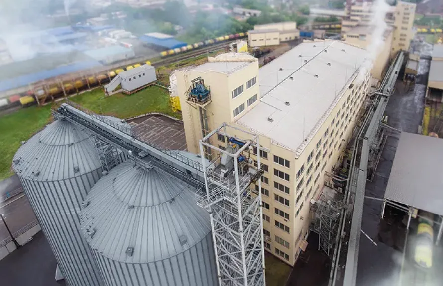 مصر وإيطاليا توقعان بروتوكول تعزيز الأمن الغذائي وتخزين القمح