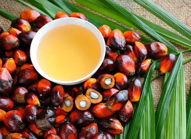 مخزونات زيت النخيل الماليزية تواصل الارتفاع للشهر السادس