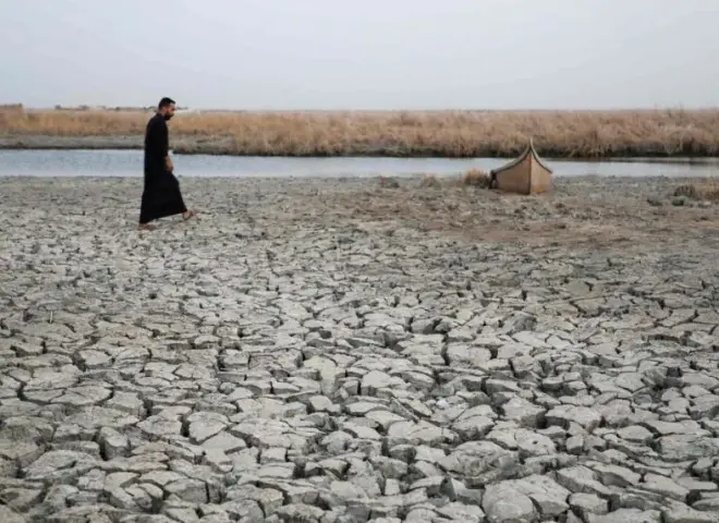 أزمة المياه تبدد أحلام العراق بالاكتفاء الذاتي من القمح