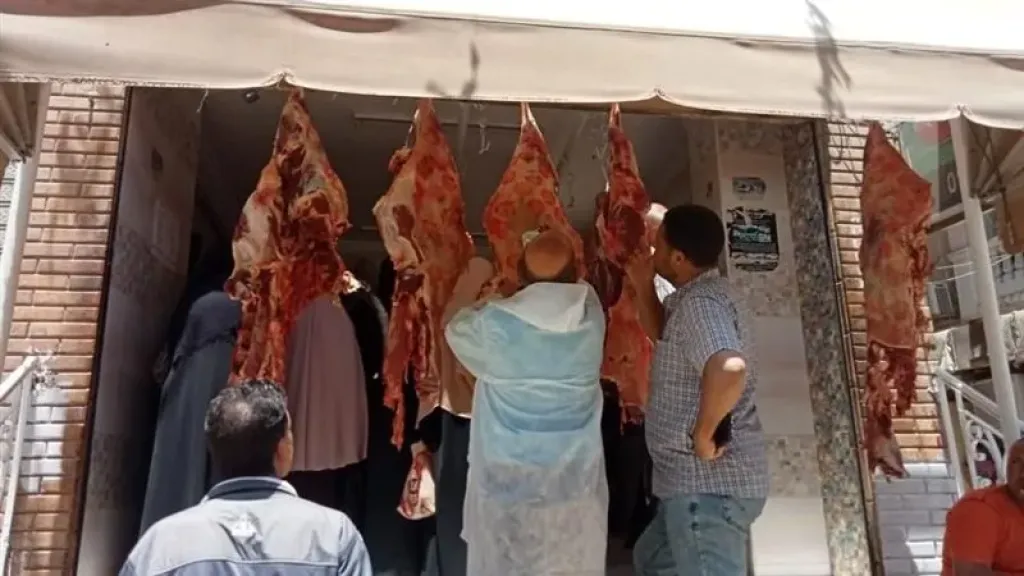 منظومة رقابية صارمة لمراقبة سلامة اللحوم والدواجن بالأسواق