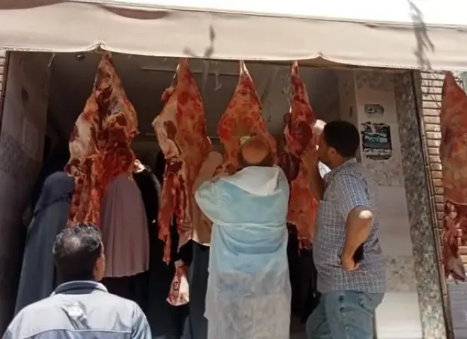 منظومة رقابية صارمة لمراقبة سلامة اللحوم والدواجن بالأسواق