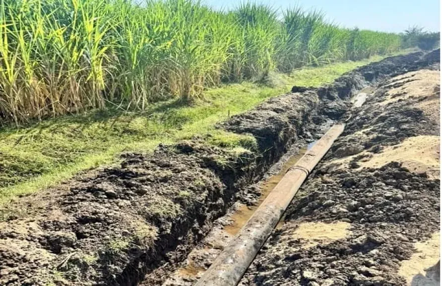 600 فدان من قصب السكر يدخلون عصر الري الحقلي الحديث