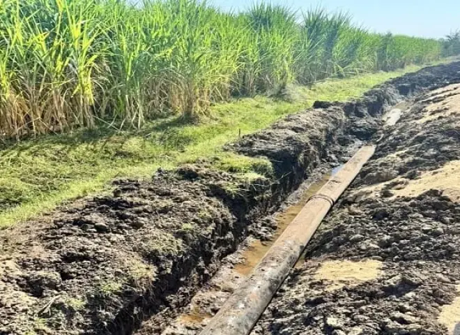 600 فدان من قصب السكر يدخلون عصر الري الحقلي الحديث