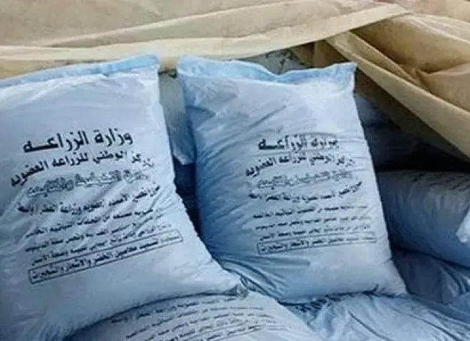 تغييرات واسعة تضرب المقررات السمادية للمحاصيل الشتوية