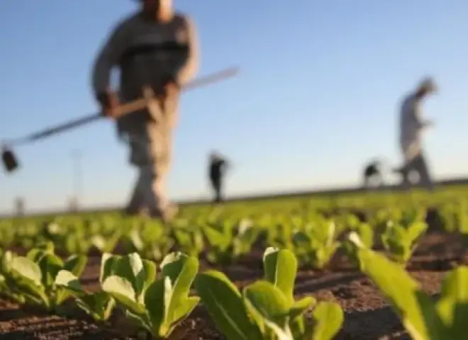 إعصار إميليا يعطل صادرات المنتجات الزراعية المغربية الطازجة