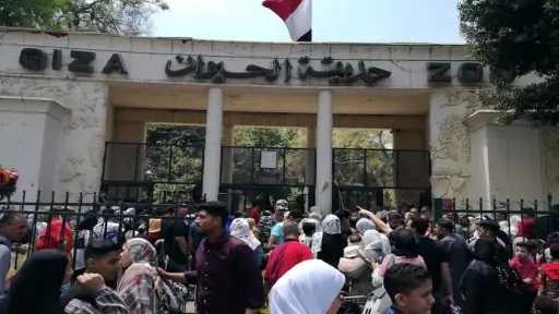 ماذا يقدم تطوير حديقة الحيوان للزوار في 2026؟