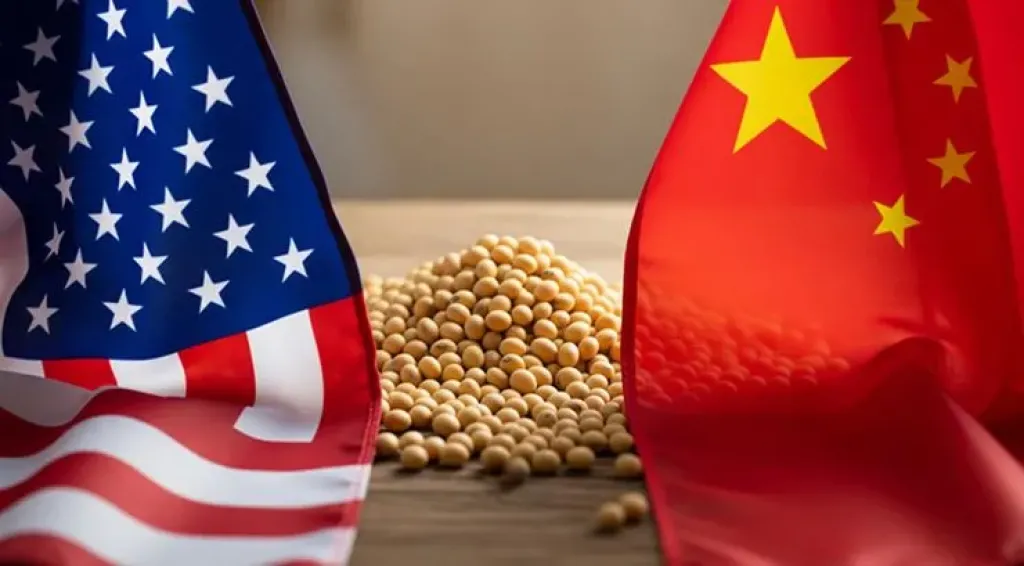 شكوك حول التزام الصين بمشتريات فول الصويا الأمريكي