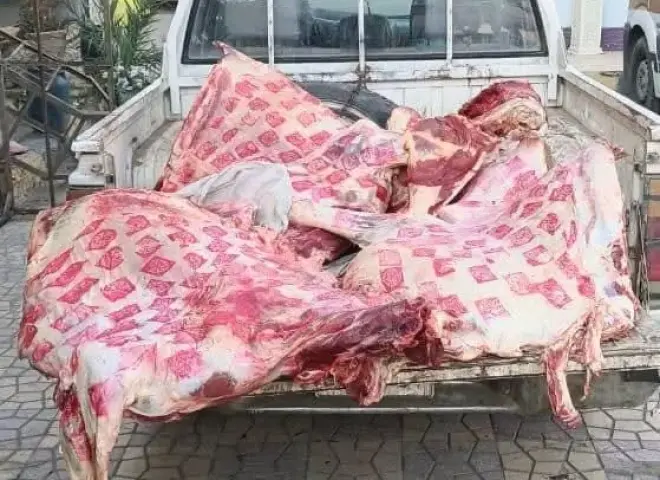 ضبط 500 كجم لحوم فاسدة بالمنوفية