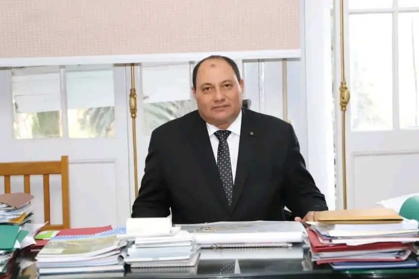 نائب وزير الزراعة يكشف خطة زيادة إنتاج اللحوم