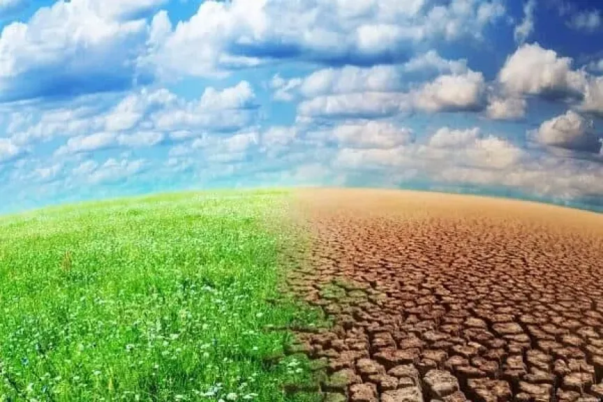 موجات برد قوية.. مناخ الزراعة يحذر من ظهور آفات خطيرة فى الشتاء