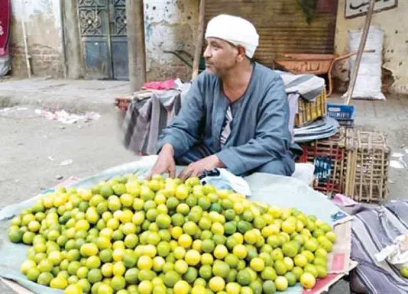 ارتفاع مفاجئ في أسعار الليمون يربك الأسواق والمواطنين