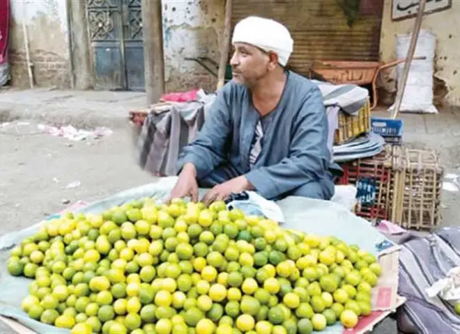 ارتفاع مفاجئ في أسعار الليمون يربك الأسواق والمواطنين