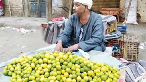 ارتفاع مفاجئ في أسعار الليمون يربك الأسواق والمواطنين