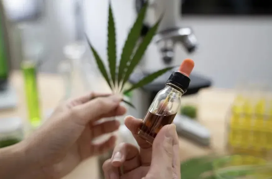 ترامب يخفف القيود المفروضة على القنب في الولايات المتحدة بإعادة تصنيفه فدراليا