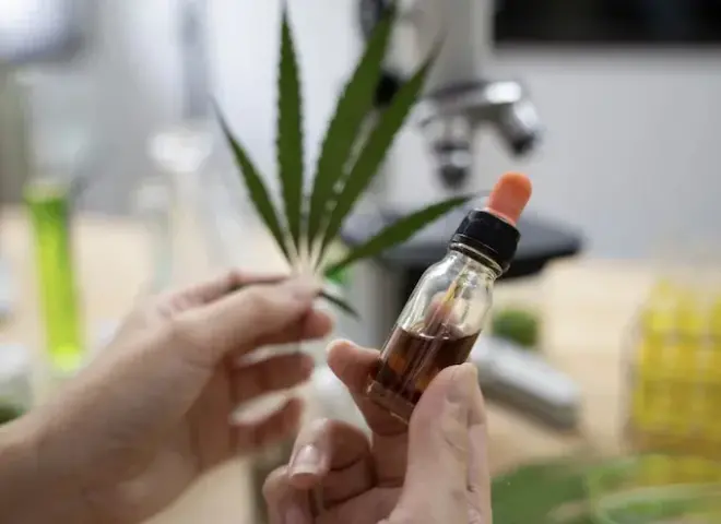 ترامب يخفف القيود المفروضة على القنب في الولايات المتحدة بإعادة تصنيفه فدراليا