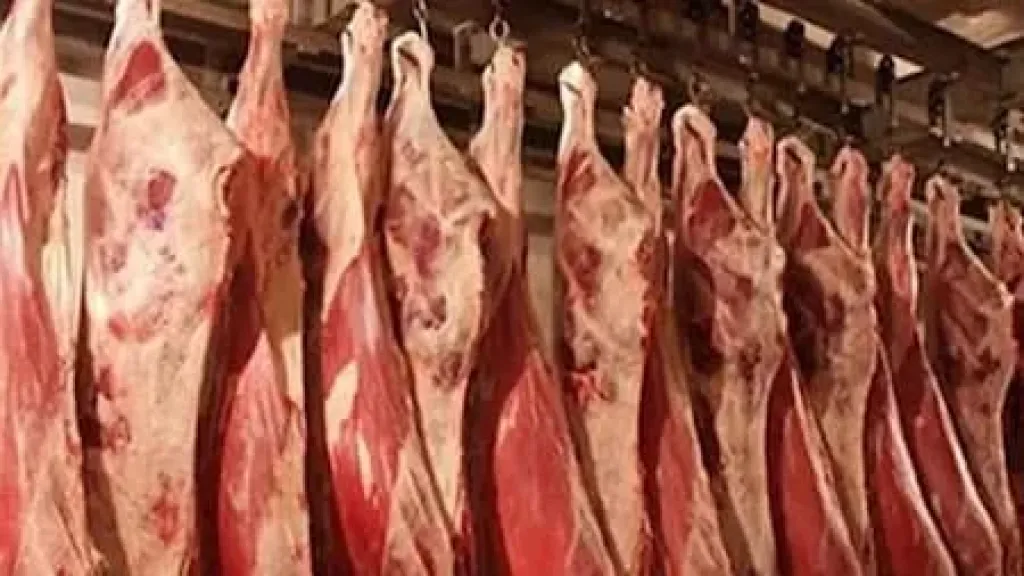 استقرار كامل لأسعار المنتجات الحيوانية قبل رمضان