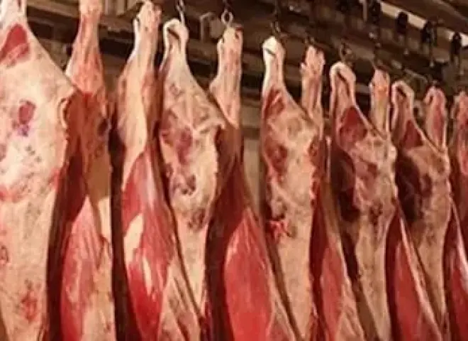 استقرار كامل لأسعار المنتجات الحيوانية قبل رمضان
