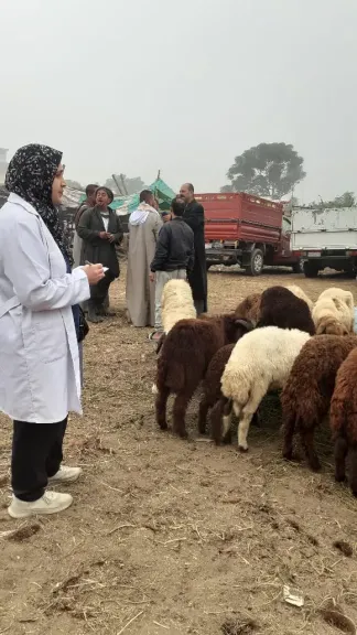 الزراعة تنشر فرق لتقصي الأمراض الوبائية في مزارع الثروة الحيوانية