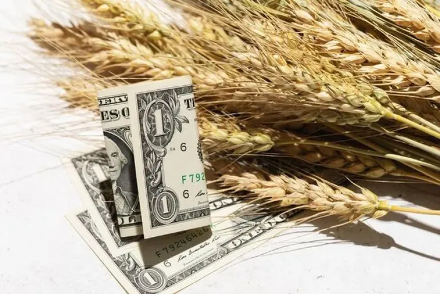 القمح يسجل أسوأ أداء أسبوعي منذ يونيو تحت ضغط فائض المعروض العالمي